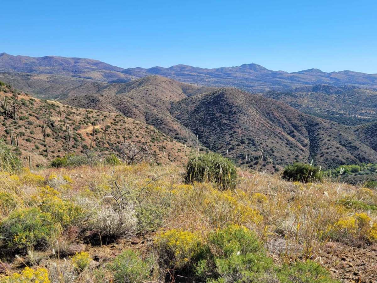 Cramm Mountain Loop photo 4