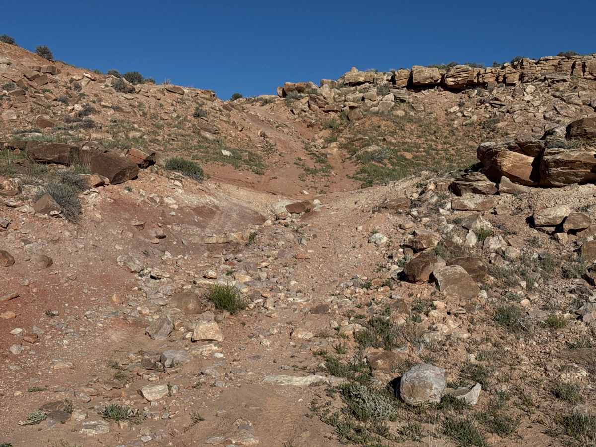 Memphis Mine photo 5
