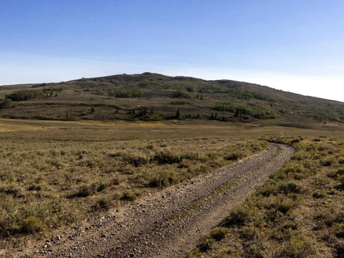 Sheep Valley Road photo 4