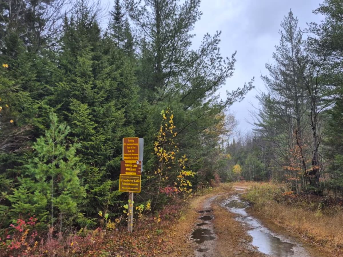 Tyler Road trail photo