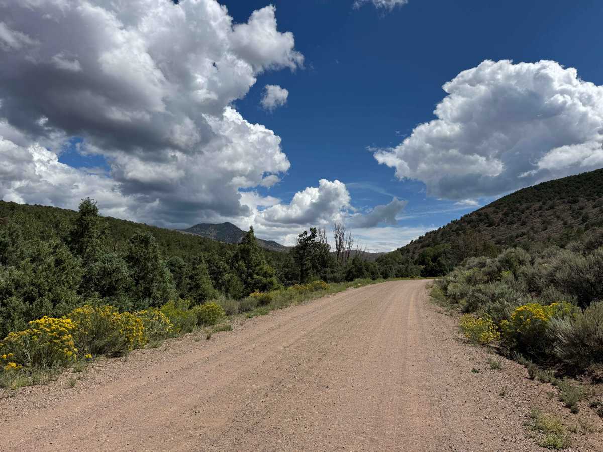 CR 2 trail photo
