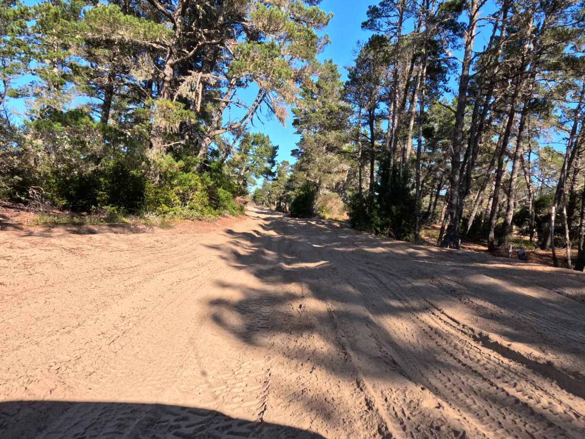 Bark OHV Trail - 1342 photo 3