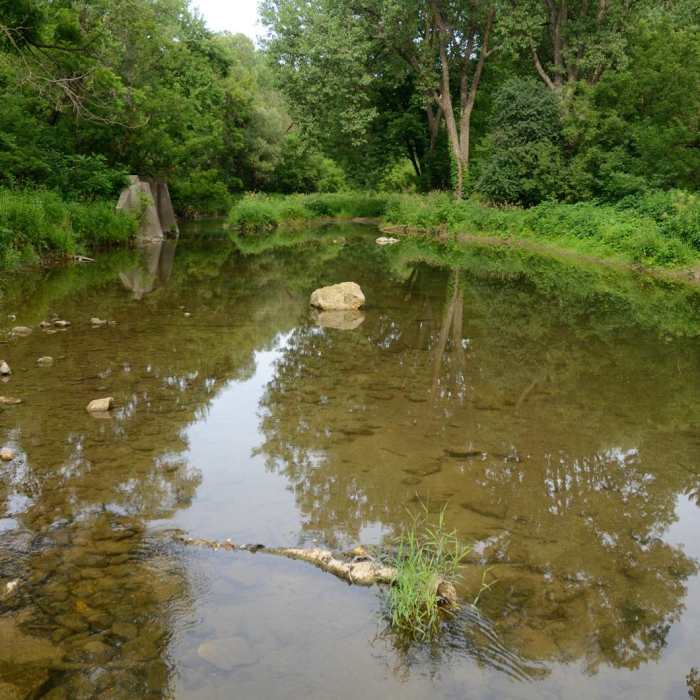 Near Northwest Day Use Area Loop Near Northwest Day Use Area Loop