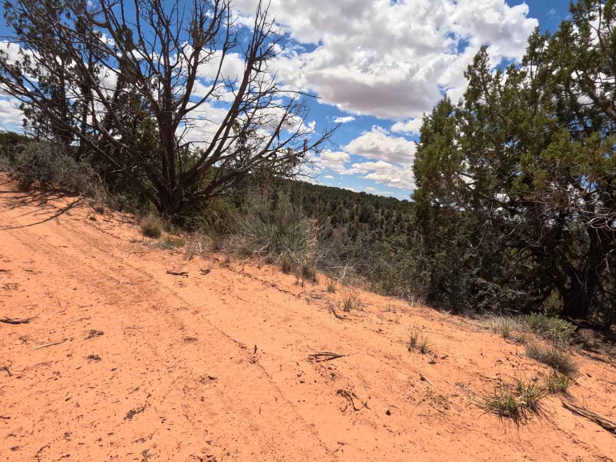 BLM 101J photo 2