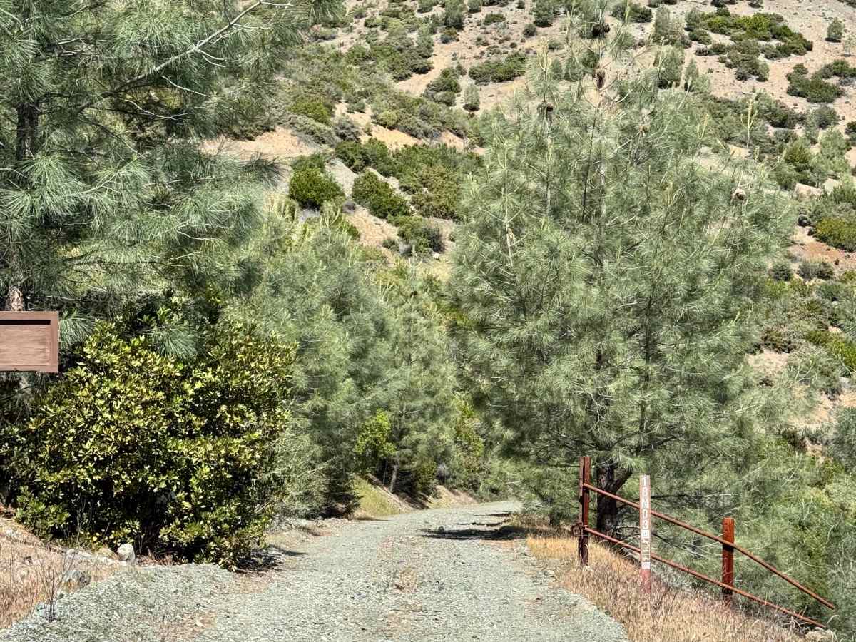 North Fork - FS 18N03 photo 5