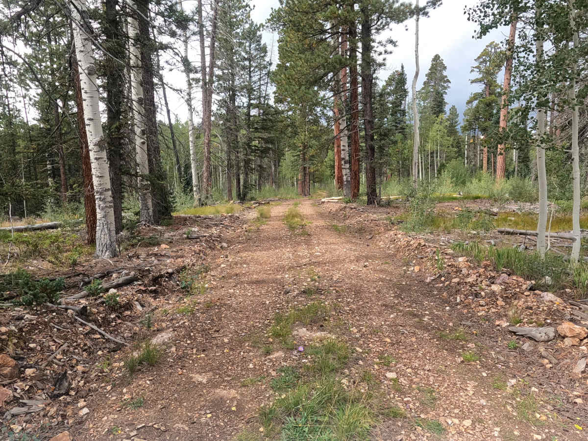 FS 758 trail photo