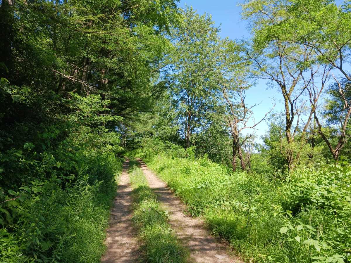 Trail 13H - Rock Run Recreation Area photo 5