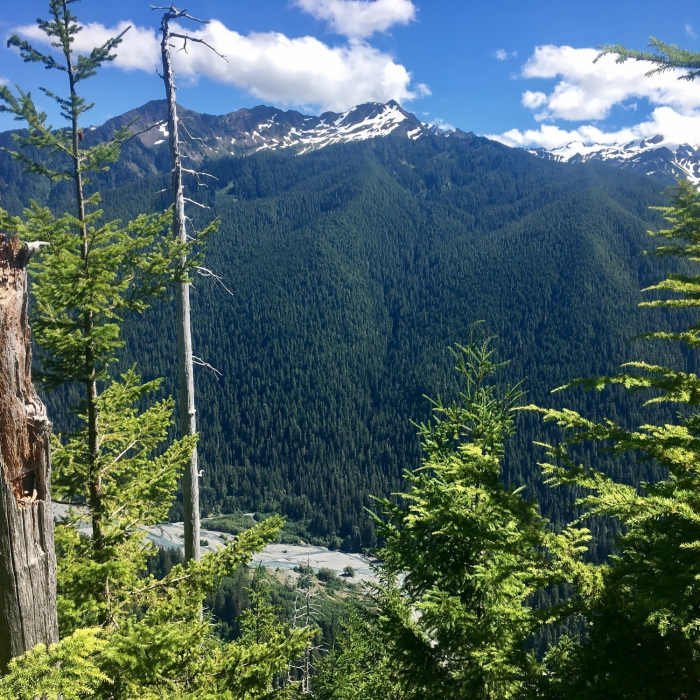 Near Hoh Lake Trail