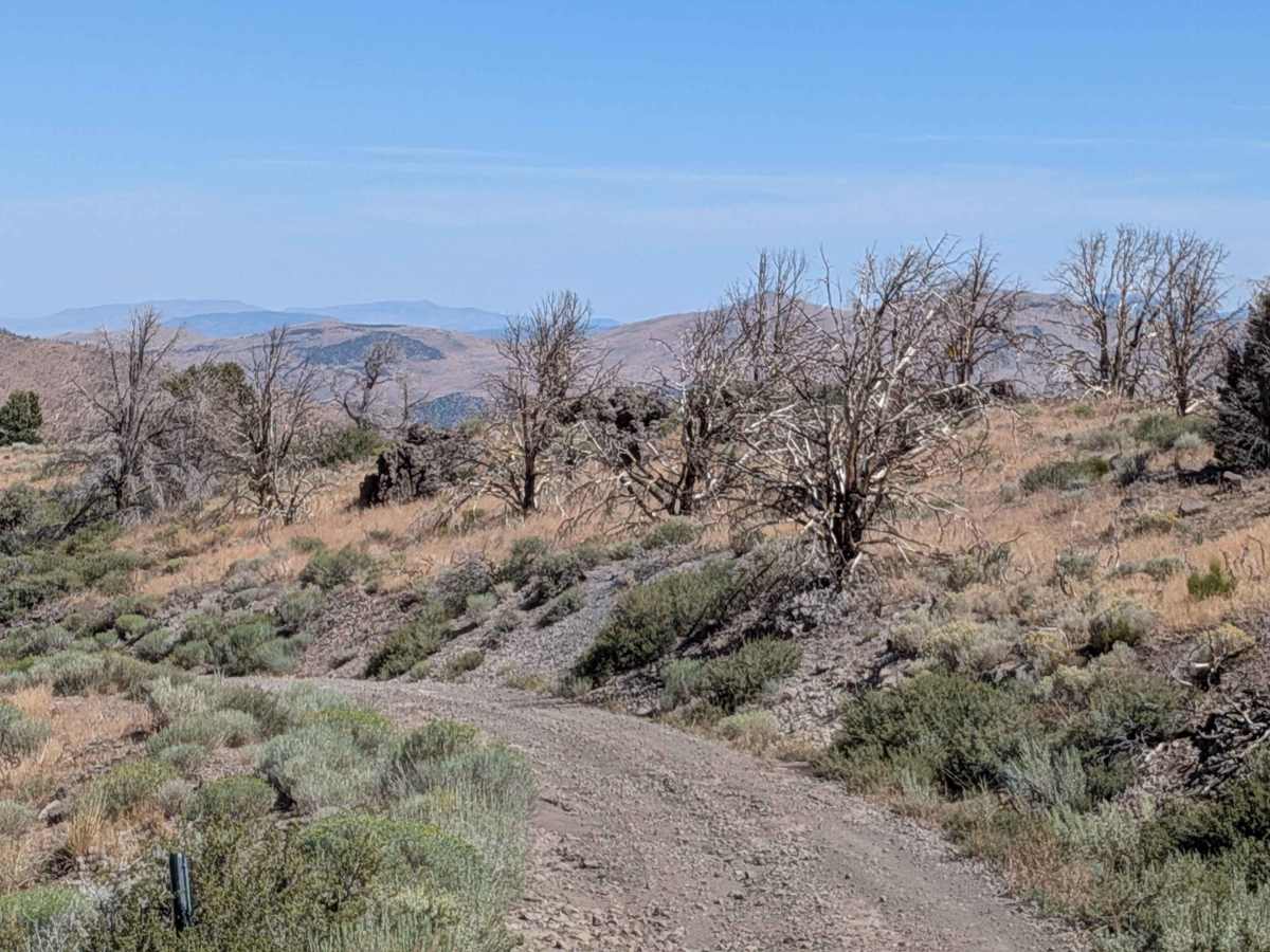 Big Spring Spur Road photo 3