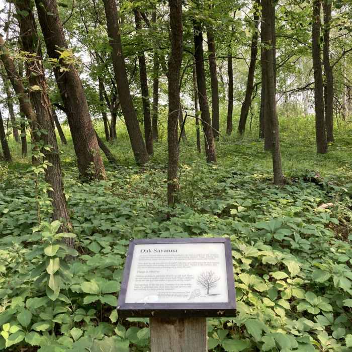 Near Buffalo River State Park Hiking Club Trail