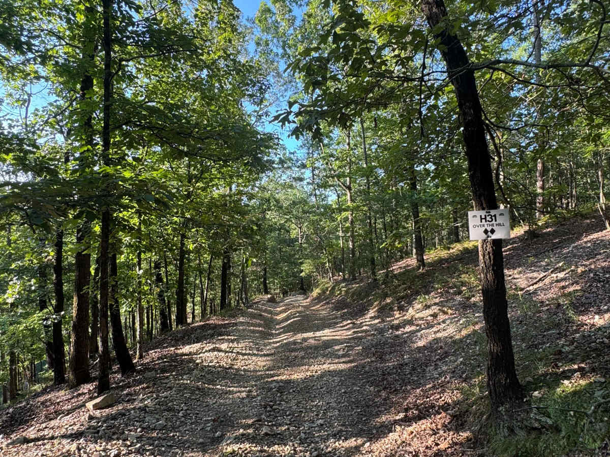 H31 Over the Hill trail photo
