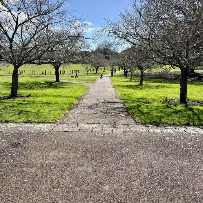 Near Cornwall Park Outer Loop