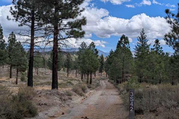 Pumice Canyon Cutoff - FS 3S42