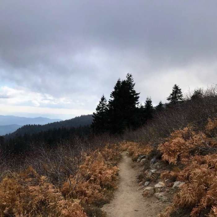 Near Mount Ashland Meadows