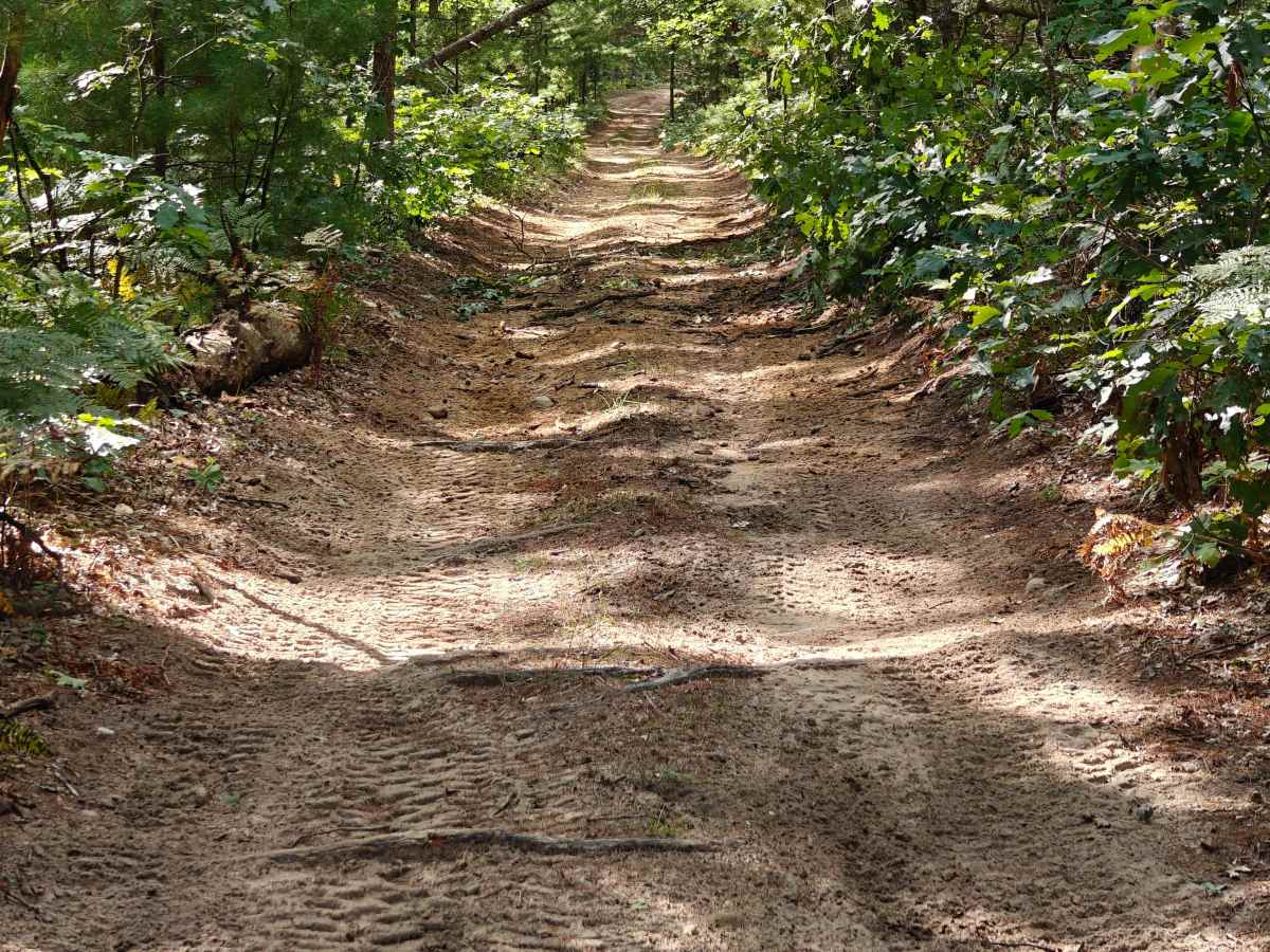 Border Trail photo 6