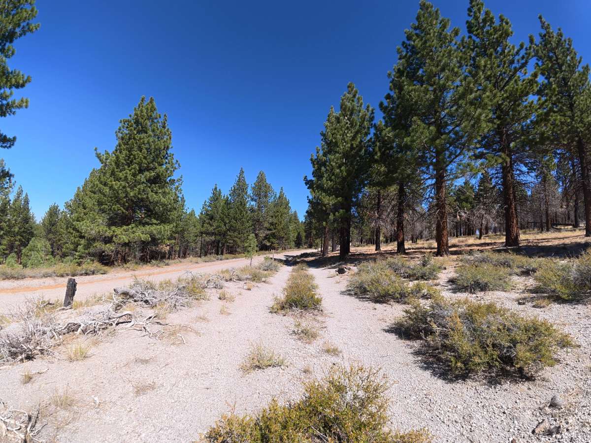 FS 1S12B trail photo
