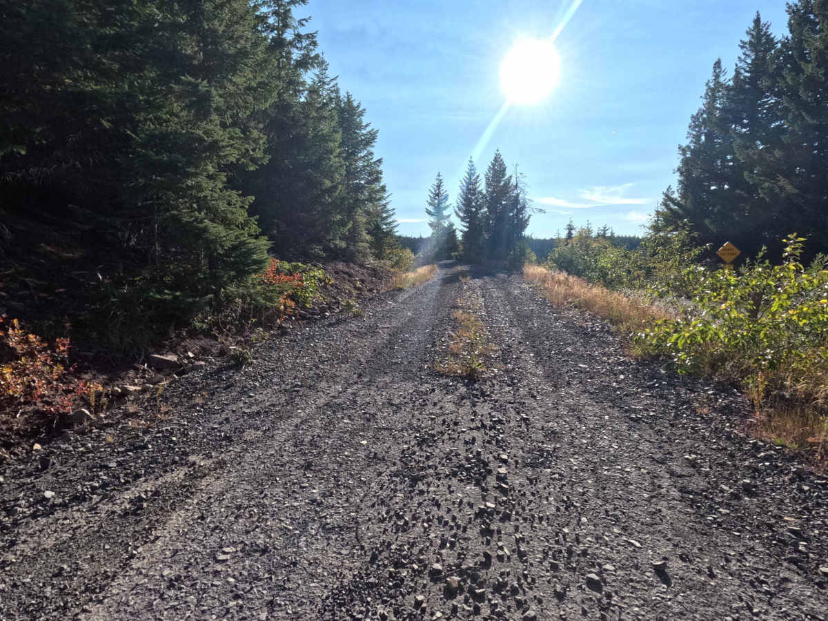 FS 1630 trail photo