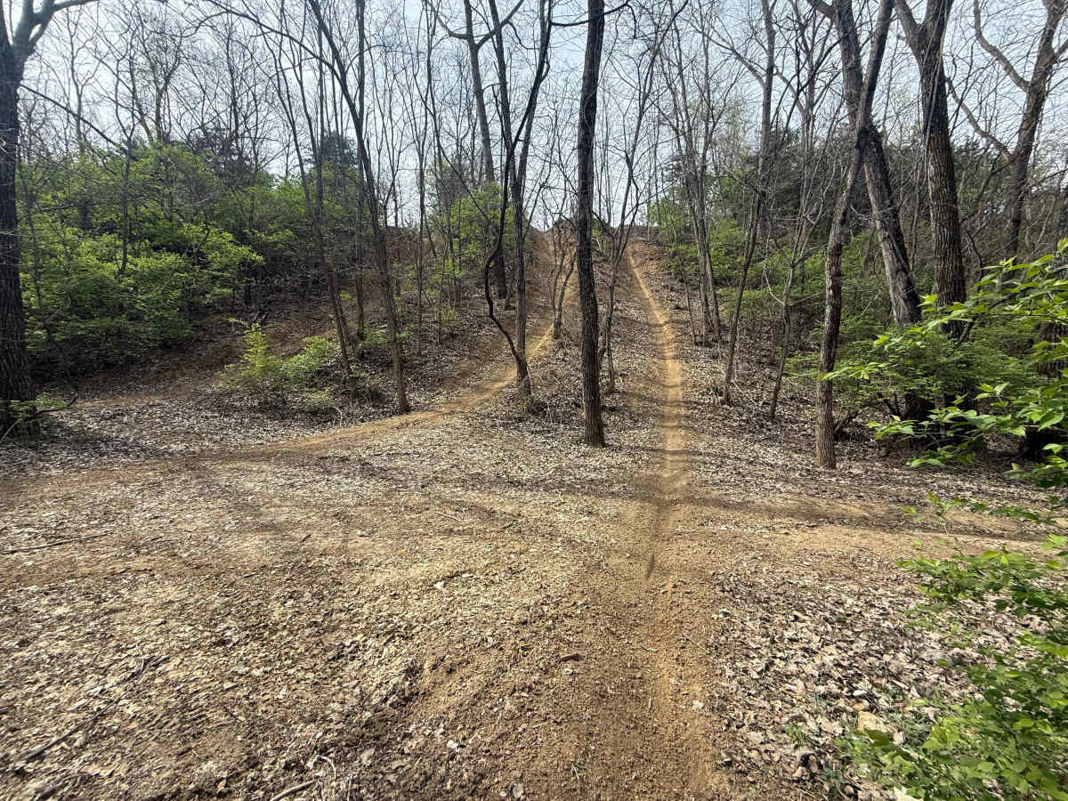 Hillclimb Trail  trail photo