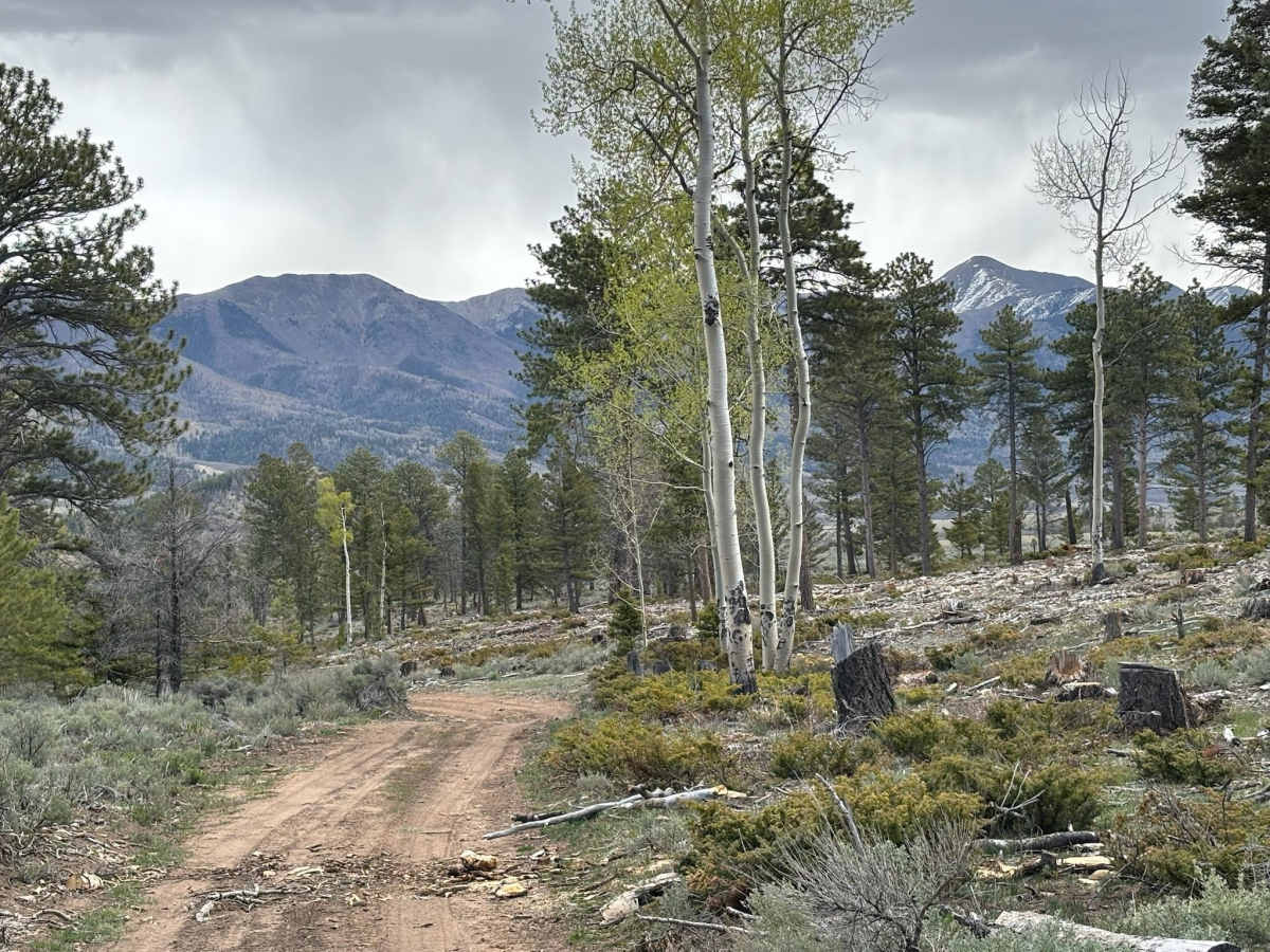 Raghorn Road photo 4