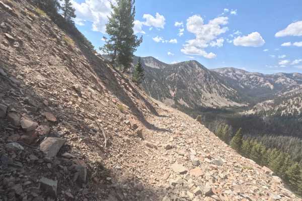 Mule Creek - FS 7198