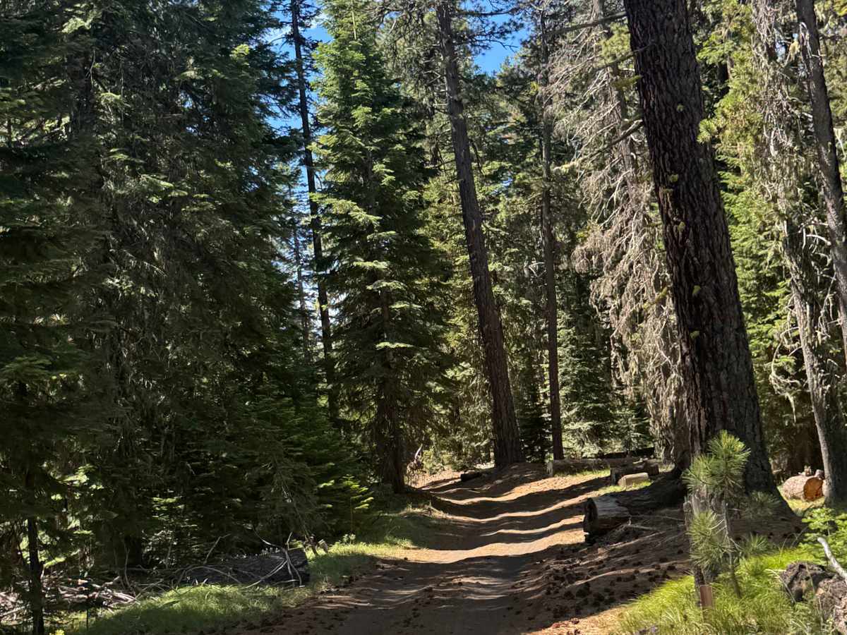 Dugout Lake - FS 1030-350 photo 6