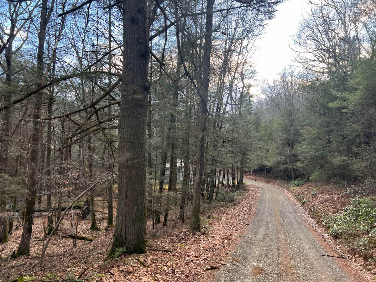 Sheesley Run Road photo 6