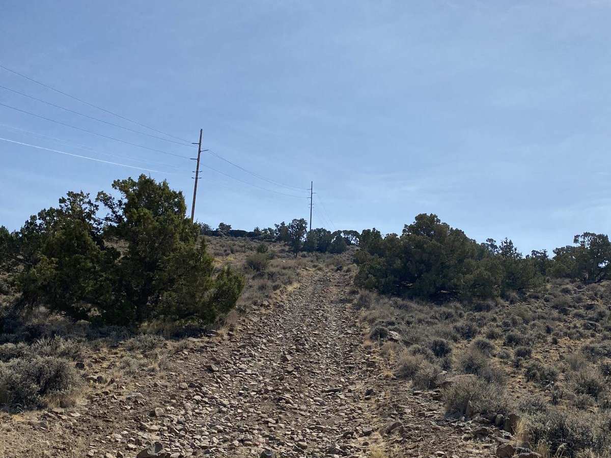 Dry Lakes Loop photo 3