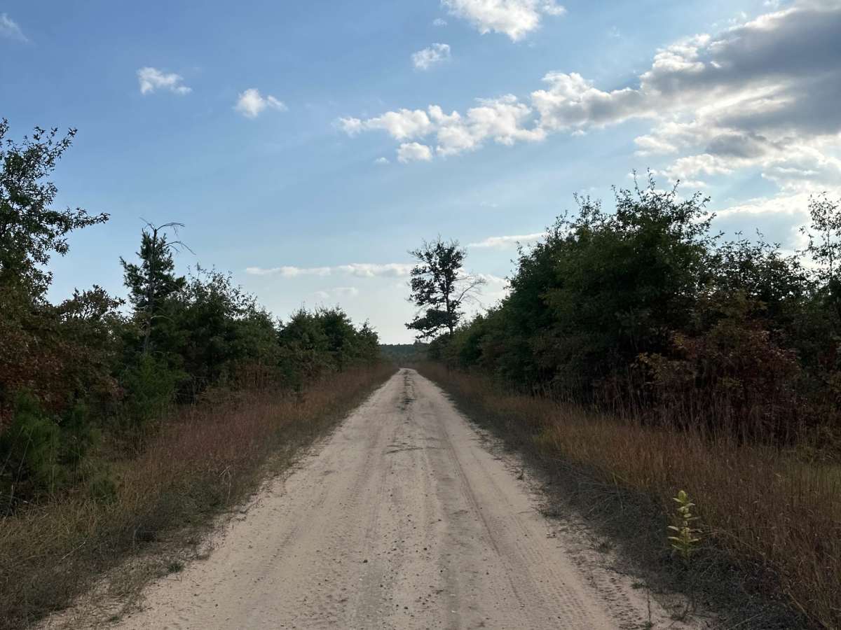 FS 4109 photo 4