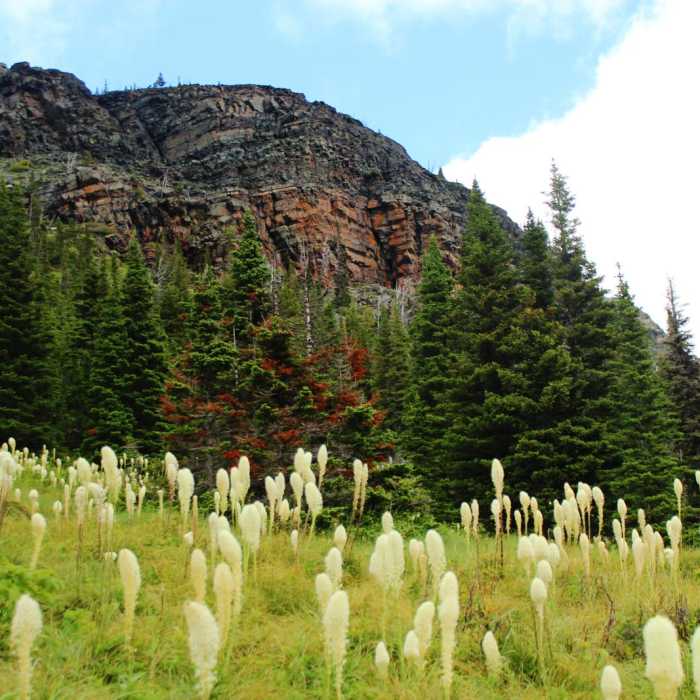 Near Triple Divide Pass Out-and-Back