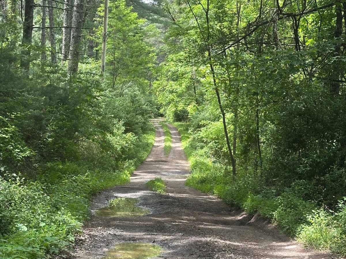Waggy Run trail photo