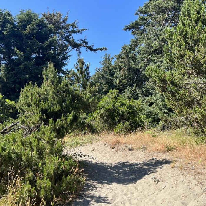 Near Ma-Le'l Dunes Trail