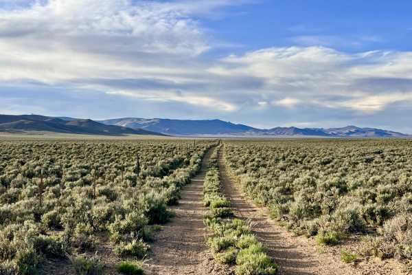 Grimes Ranch Road South