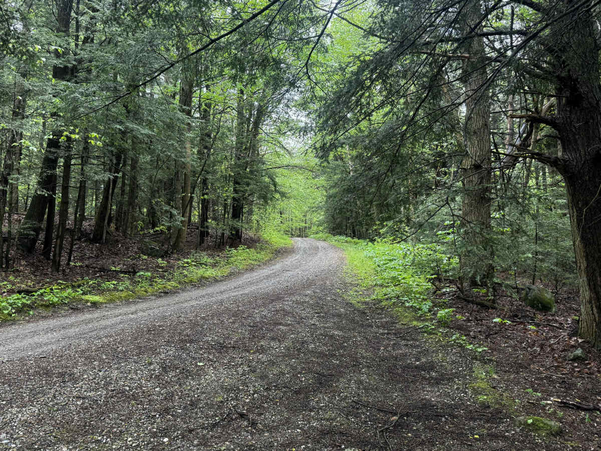 Mount Wilcox Road photo 3
