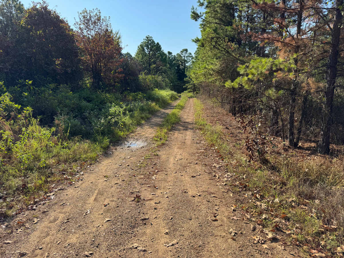 Slick Rock trail photo