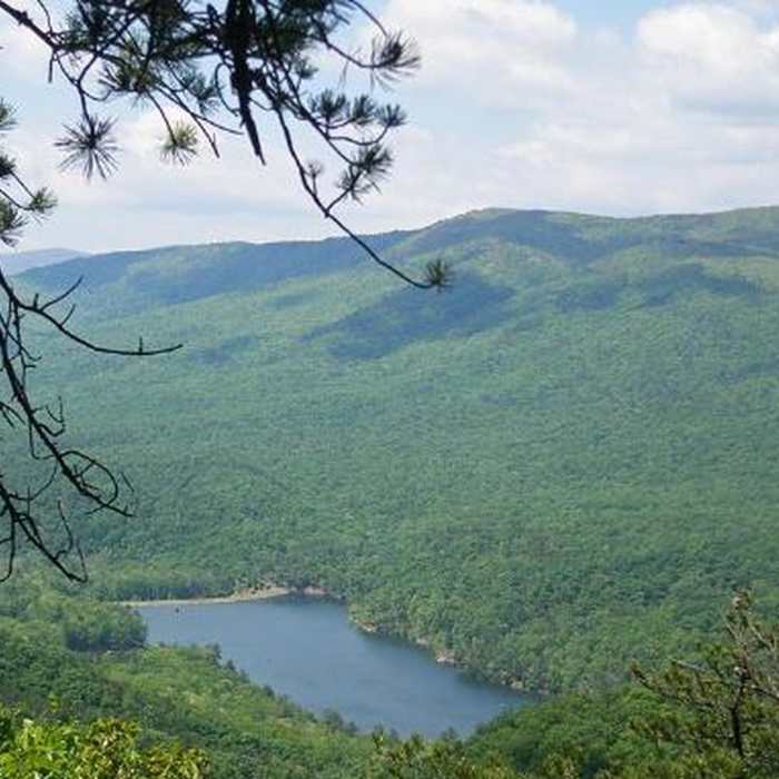 Near Beards Mountain Loop