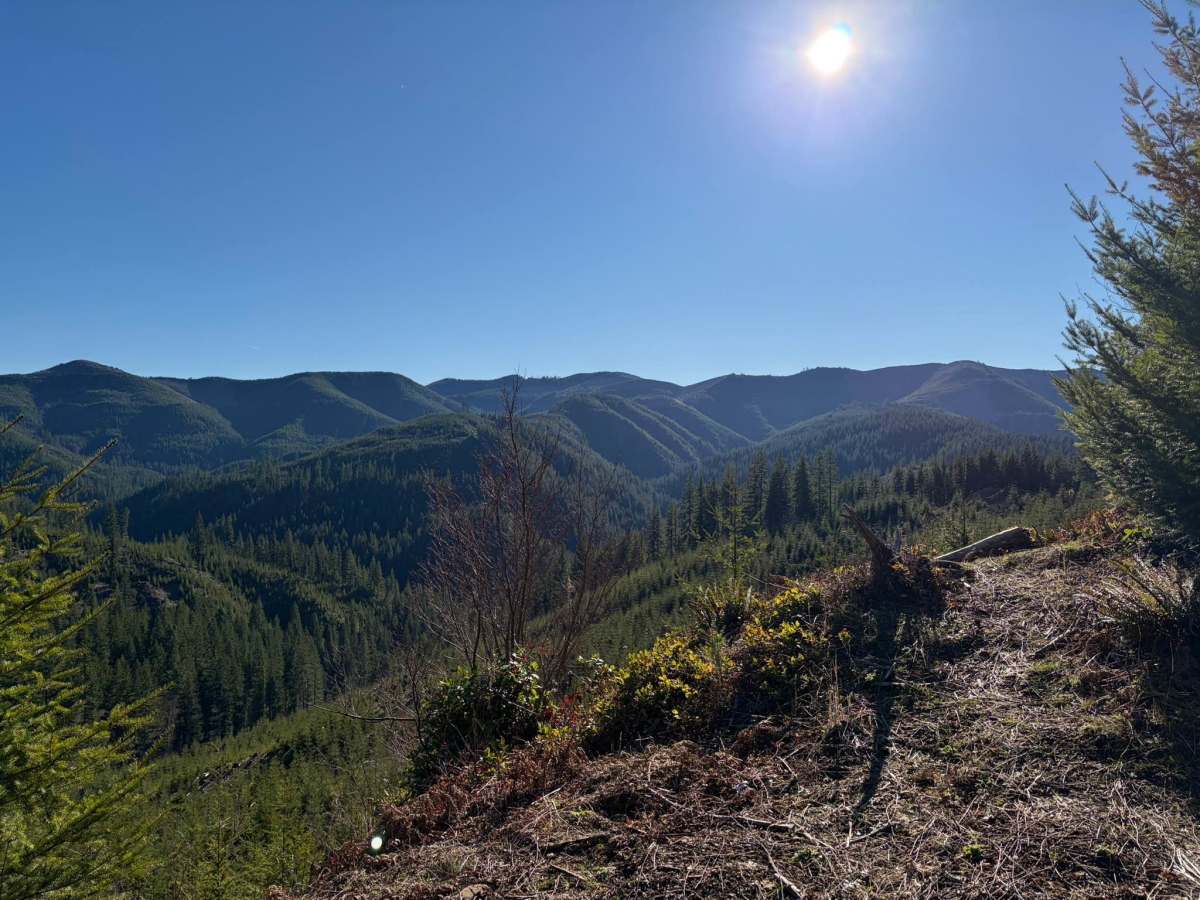 Wolf Creek Road photo 4