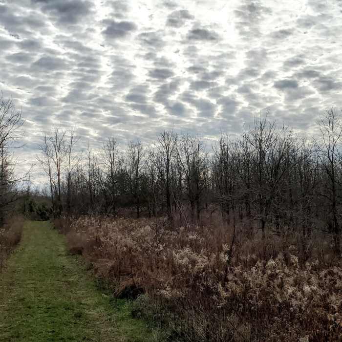 Near Indian Hill Trail