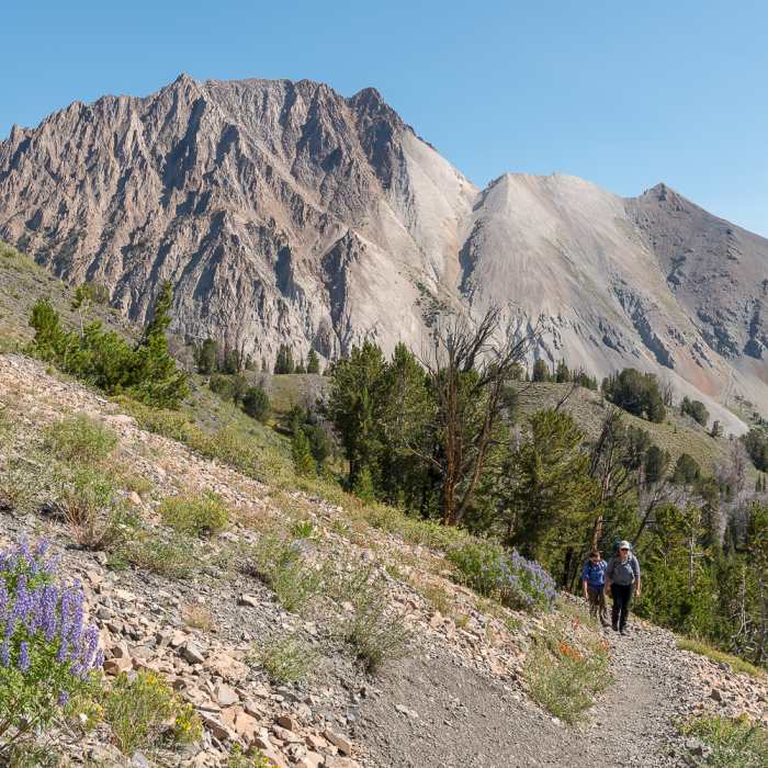 Backpackers climbing out of Chamberlain Lakes. Near Livingston Mill-Castle Divide