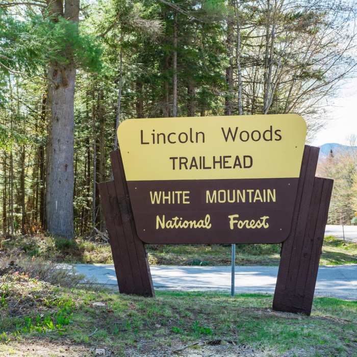 Near Lincoln Woods Trail Near Lincoln Woods Trail