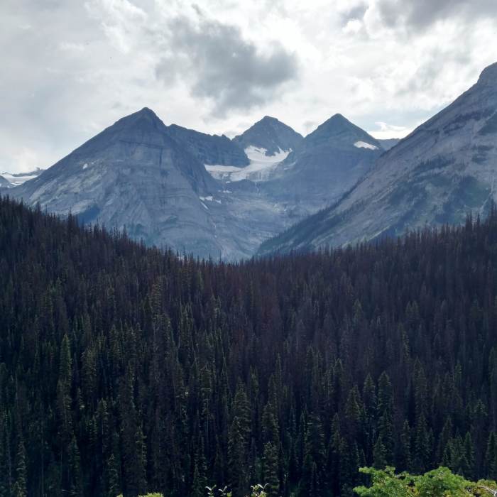 Near Viewpoint Trail