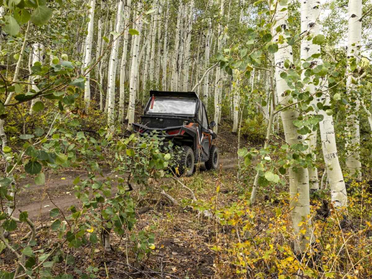 Water Hollow Trail trail photo