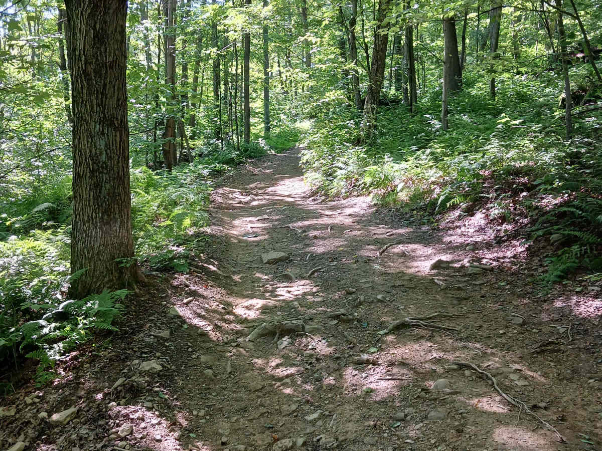 Trail 14D - Rock Run Recreation Area photo 2