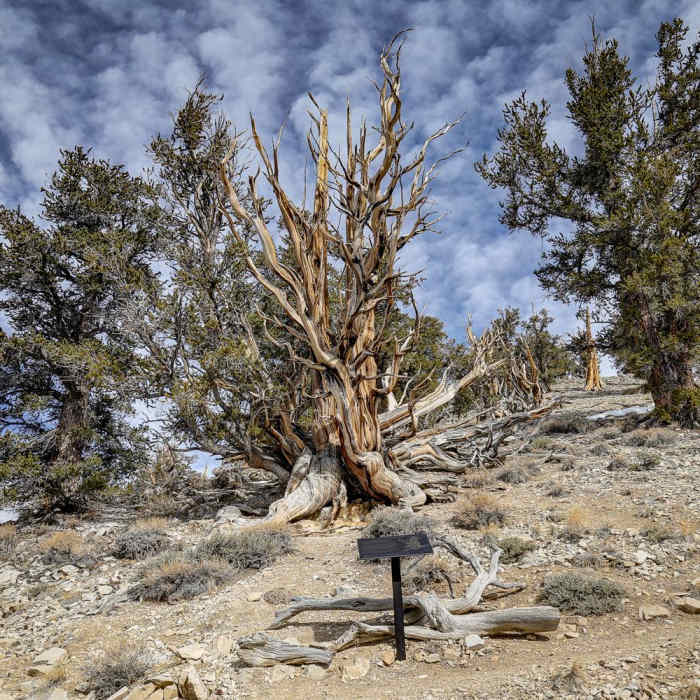 Near Discovery Trail