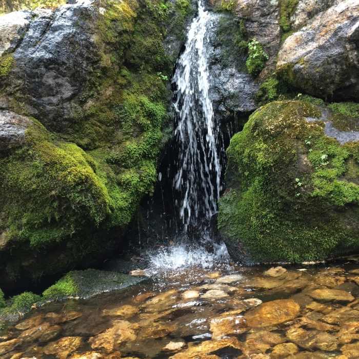 Near Nambe Lake Trail