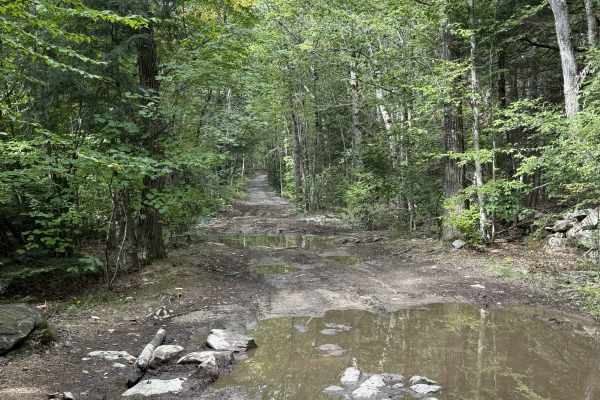 Bartlett Hill Road