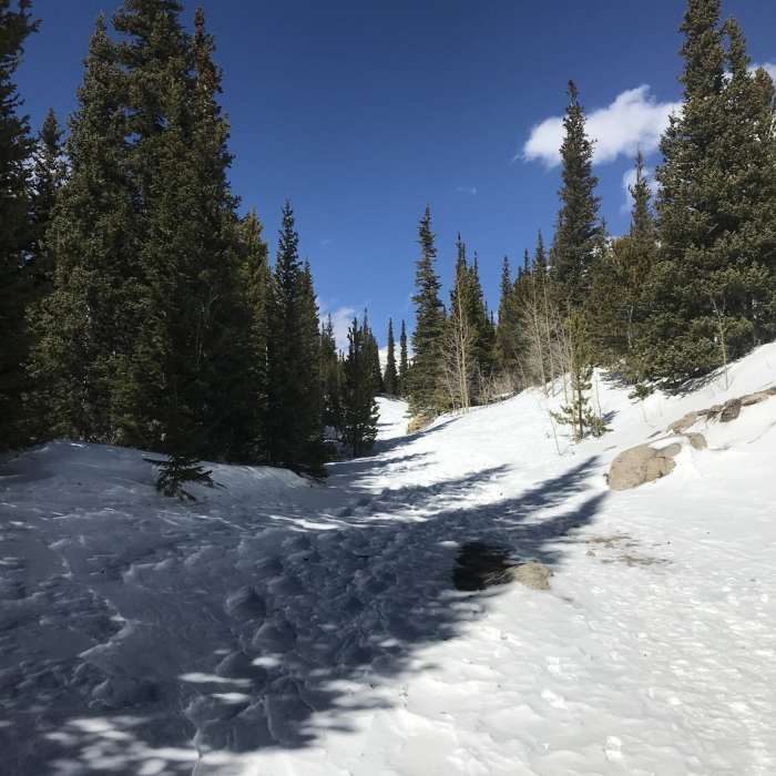 Near Loch Lomond (#701.1)