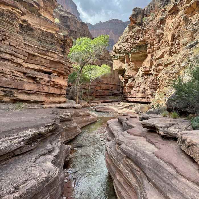 Near Tapeats Creek, Thunder River, and Deer Creek