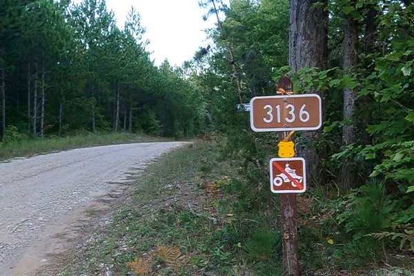 Camp Faunce - FS 3136