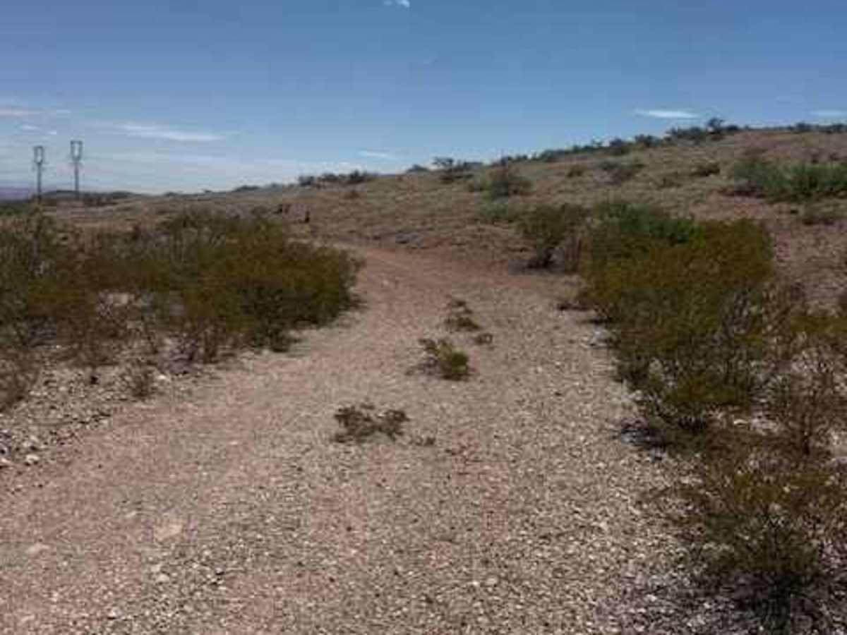 BLM SS1044 photo 5