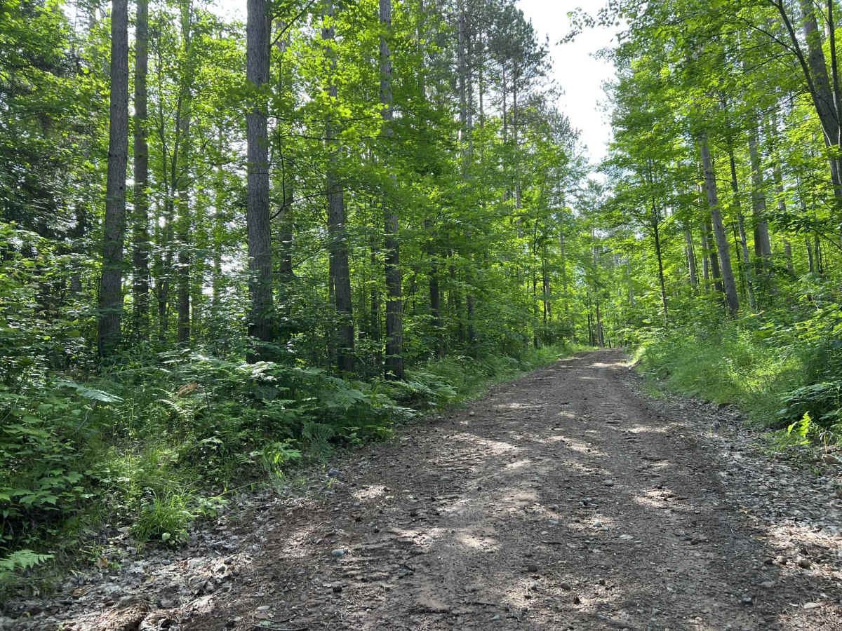 Trail LL FDR-5311 photo 4